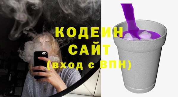 прущие грибы Алзамай