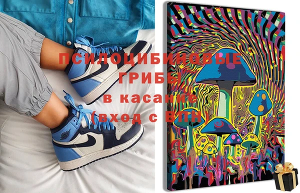 дурь Алексеевка