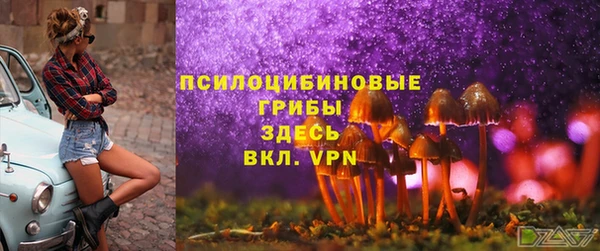 прущие грибы Алзамай
