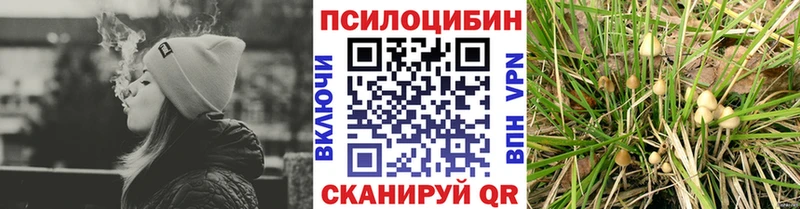 Галлюциногенные грибы Psilocybine cubensis  Макушино 